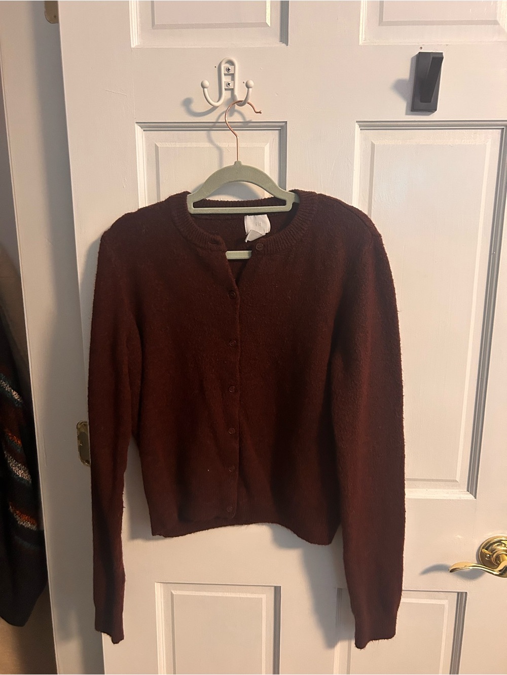 H&M Button-Front Crewneck Cardigan in Deep Brown / Burgundy